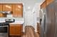 162 Waverly, Bloomingdale, IL 60108