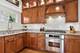 222 Leitch, La Grange, IL 60525