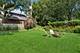 222 Leitch, La Grange, IL 60525