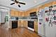 532 S Grove, Oak Park, IL 60304