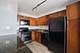 655 W Irving Park Unit 1704, Chicago, IL 60613