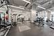 655 W Irving Park Unit 1704, Chicago, IL 60613