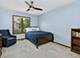 319 Jamatt, Naperville, IL 60540