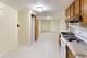 3017 S Canal, Chicago, IL 60616