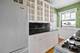 4300 N Marine Unit 602, Chicago, IL 60613