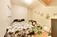 6524 S Eberhart, Chicago, IL 60637