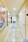 600 N Lake Shore Unit 3602, Chicago, IL 60611