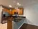 6436 Roosevelt Unit 208, Oak Park, IL 60304