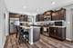 162 Hibiscus, Elgin, IL 60124