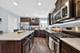 162 Hibiscus, Elgin, IL 60124