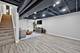 162 Hibiscus, Elgin, IL 60124