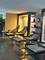 400 E Randolph Unit 921, Chicago, IL 60601