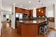 4008 N Kolmar, Chicago, IL 60641