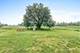 906 Hayden, Yorkville, IL 60560