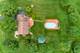 10410 Saddlebred, Woodstock, IL 60098