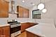 917 W Agatite Unit 2F, Chicago, IL 60640