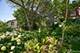4N768 Old La Fox, St. Charles, IL 60175