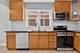 3953 N Oleander Unit 1, Chicago, IL 60634