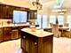 14561 Crystal Tree, Orland Park, IL 60462