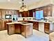 14561 Crystal Tree, Orland Park, IL 60462