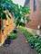 15311 S Joliet, Plainfield, IL 60544