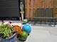 3144 N Leavitt Unit GARDEN, Chicago, IL 60618