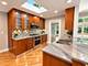 924 Brookline, Park Ridge, IL 60068