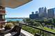 270 E Pearson Unit 701-801, Chicago, IL 60611