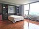 3600 N Lake Shore Unit 2417, Chicago, IL 60613