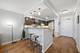 1560 N Sandburg Unit 509J, Chicago, IL 60610