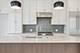 3820 N Damen Unit 2, Chicago, IL 60618