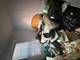 1309 W 98th, Chicago, IL 60643