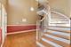 12312 Blue Iris, Plainfield, IL 60585