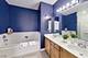 2951 Central Unit 307, Evanston, IL 60201