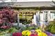 235 Moraine, Highland Park, IL 60035