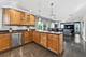 1494 Polo, Bartlett, IL 60103