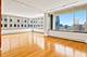 1000 N Lake Shore Unit 24C, Chicago, IL 60611