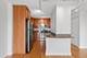 450 W Briar Unit 8F, Chicago, IL 60657