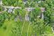 4813 Wildwood, Mchenry, IL 60051