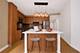 225 S Sangamon Unit 306, Chicago, IL 60607