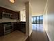 225 N Columbus Unit 7507, Chicago, IL 60601
