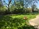 1410 Margate, Buffalo Grove, IL 60089