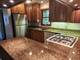 726 W 17th Unit 2, Chicago, IL 60616