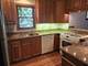726 W 17th Unit 2, Chicago, IL 60616