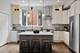 2009 N Hoyne, Chicago, IL 60647