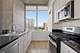 1720 S Michigan Unit 1601, Chicago, IL 60616