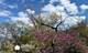 1122 W Lunt Unit 8C, Chicago, IL 60626