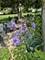 26643 Lindengate, Plainfield, IL 60585