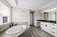 1451 Bethpage, Elgin, IL 60124