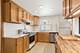 638 S Scoville, Oak Park, IL 60304